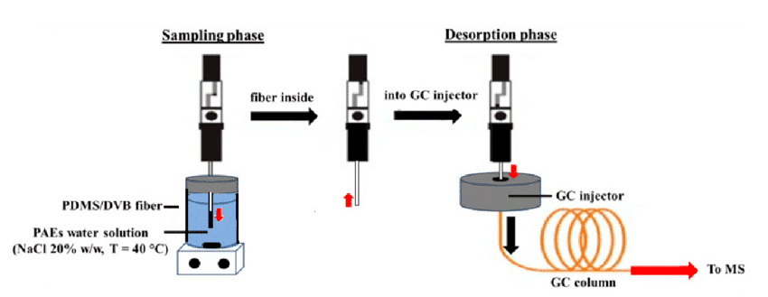 SPME GC MS analysis of volatile and semi-volatile compounds